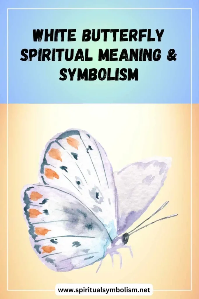what-is-the-spiritual-meaning-of-white-butterfly